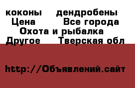 коконы    дендробены › Цена ­ 25 - Все города Охота и рыбалка » Другое   . Тверская обл.